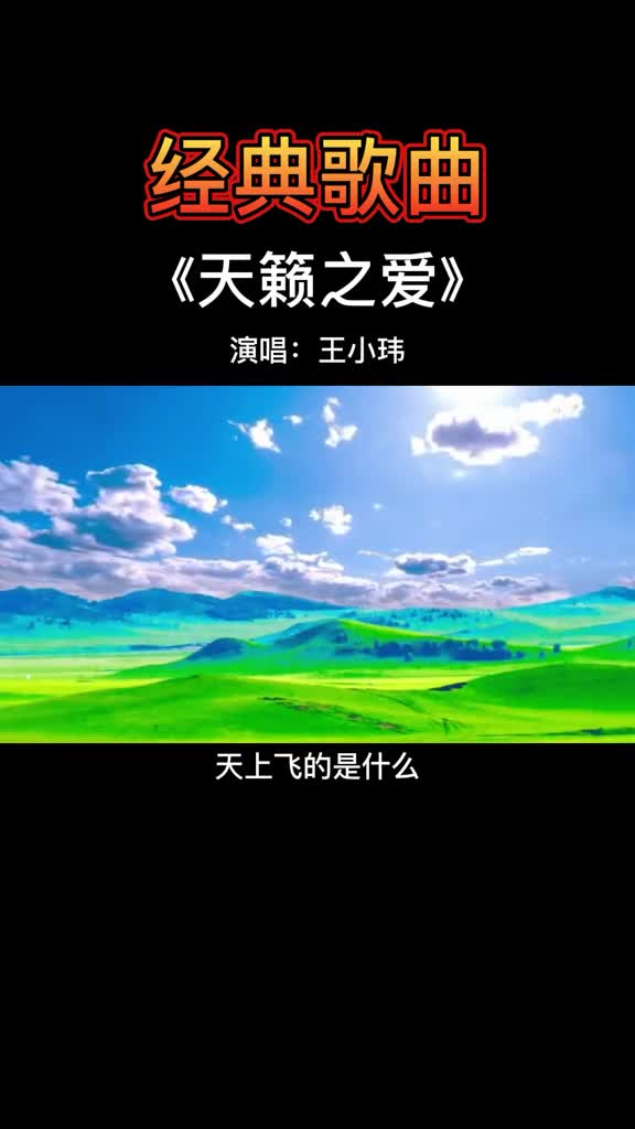 经典老歌天籁之爱是小柯创作王小玮空灵般的嗓音如同天籁之声在天空