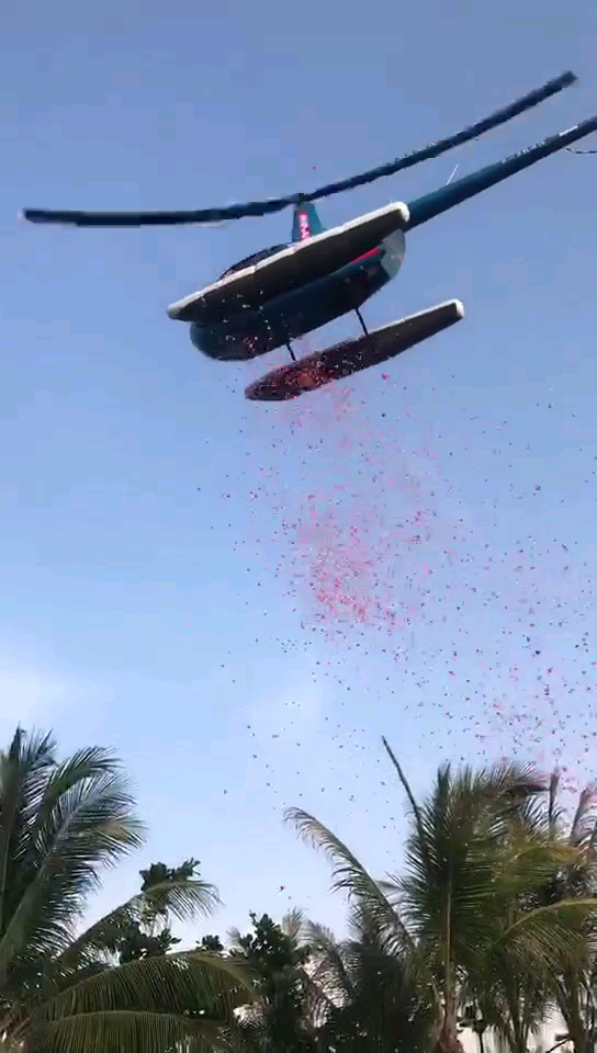 生日宴空降花瓣雨