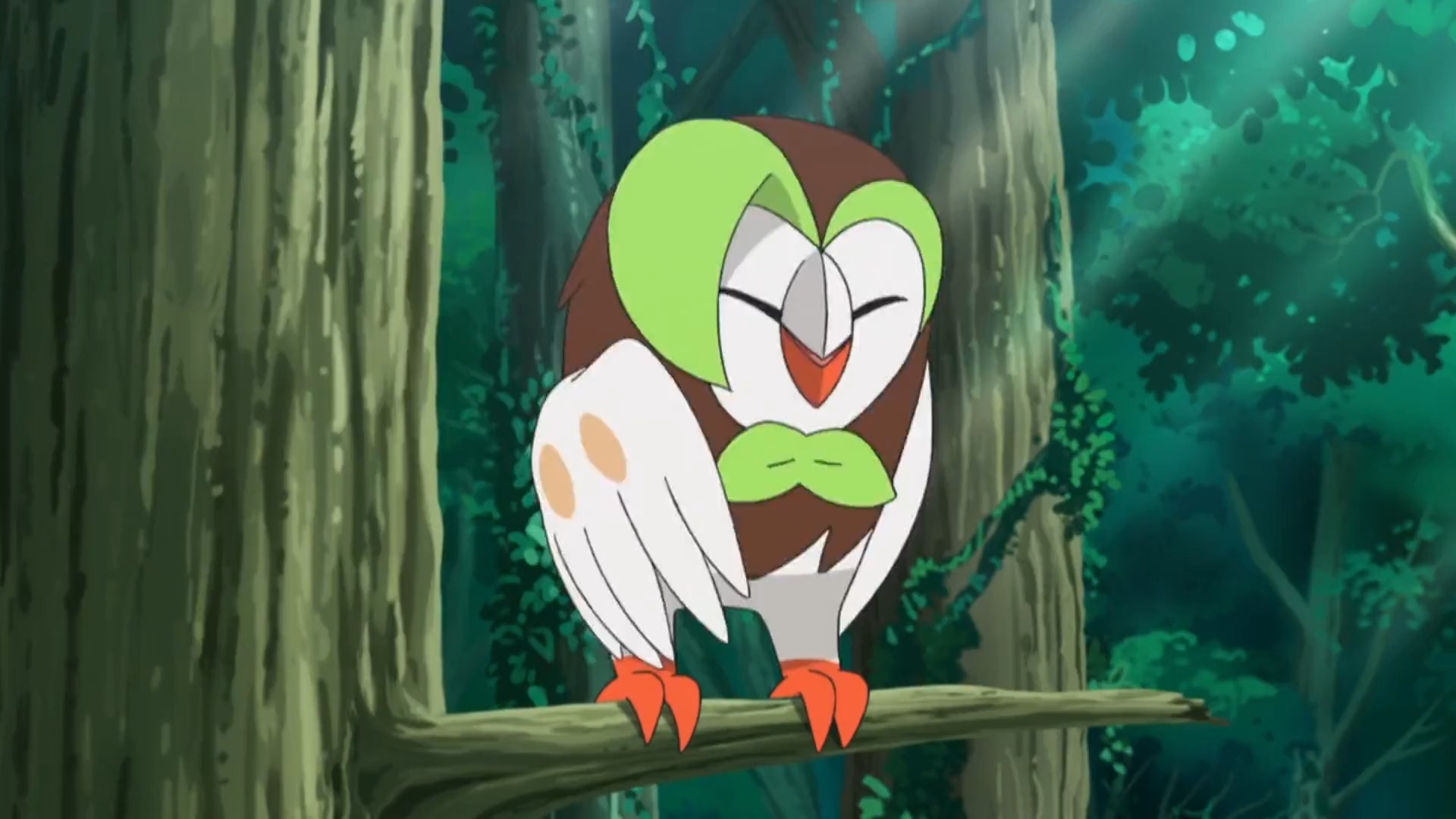 我要上热门#当木木枭碰上投羽枭,都很傲娇呢!