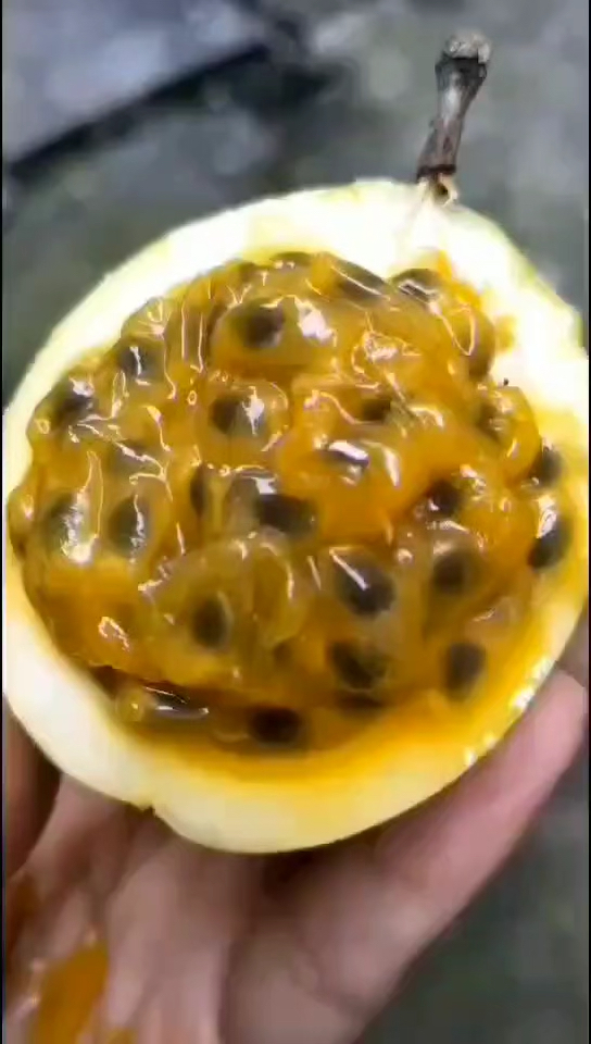 果肉饱满的百香果