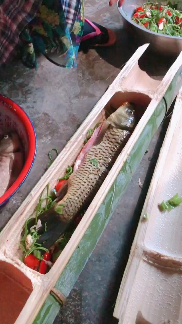 竹筒鱼了解一下