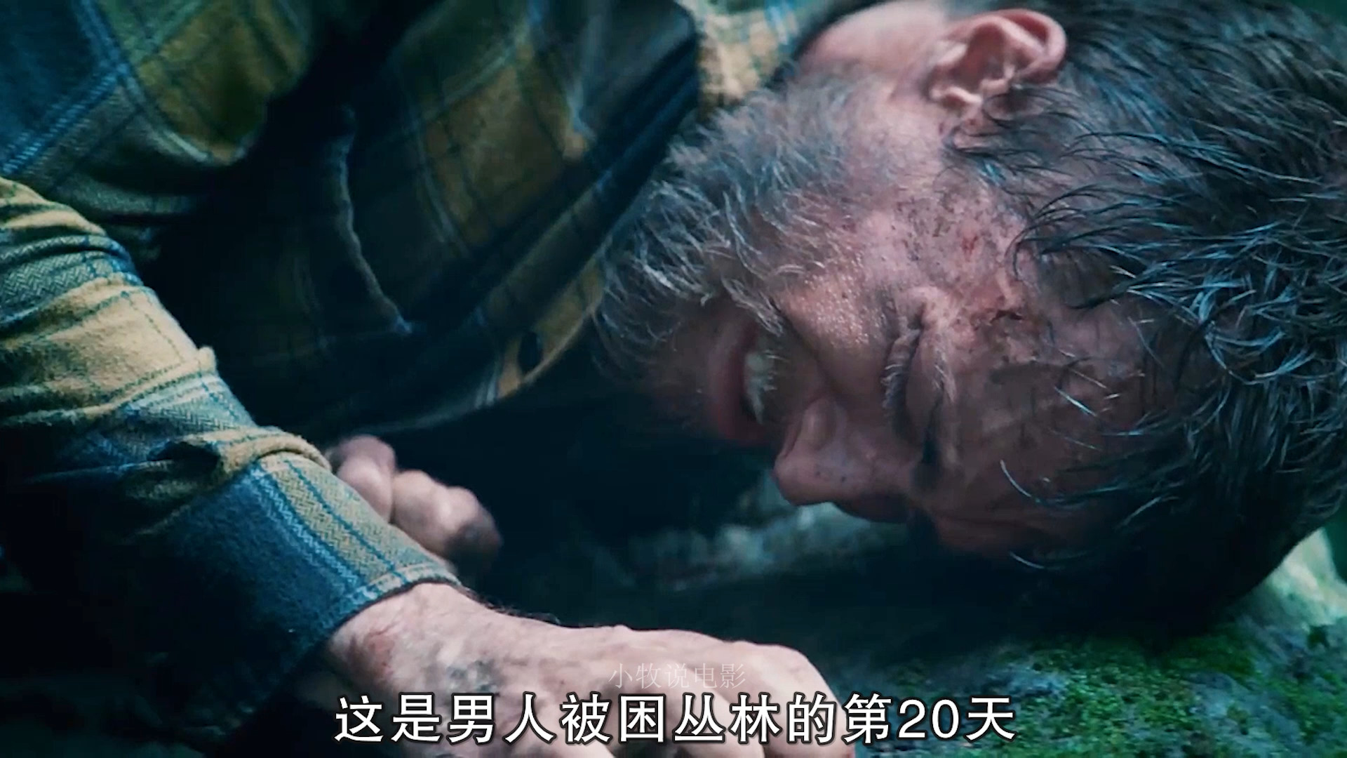 电影解说#四人小队踏足原始森林,不料被河水冲散,他们是否还有生吹哪