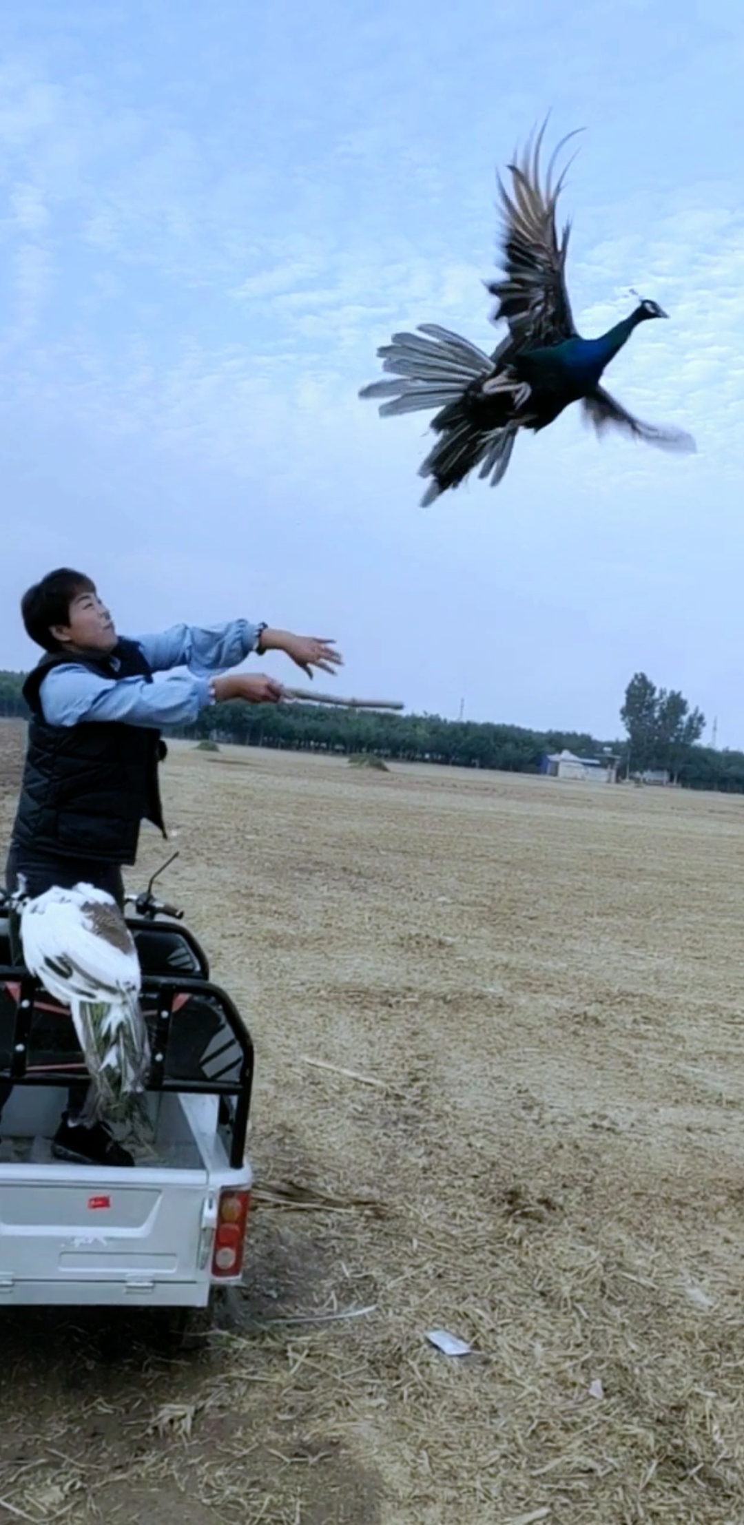 笼中鸟,谁来放飞自我