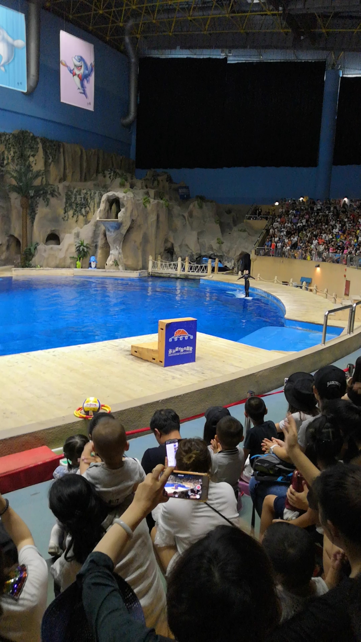 带上全民去旅行#北京动物园海洋馆表演