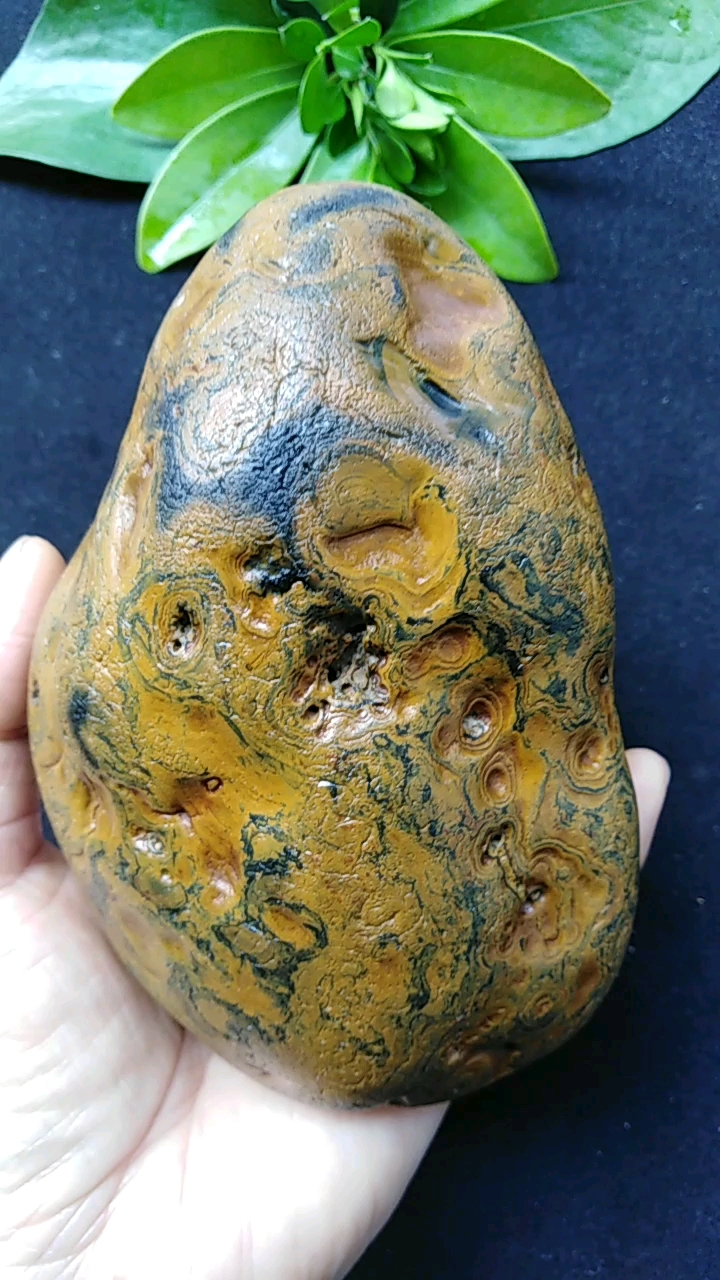 玛瑙,奇石,画面石,《金钱纹》