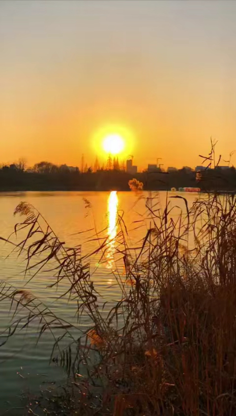 当第一线光明照彻天际,当第一缕阳光洒满人间,当第一丝清风拂过