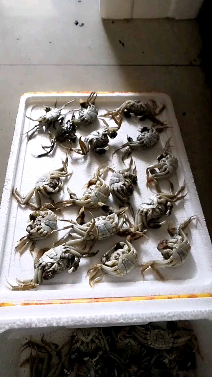 螃蟹死了能吃吗