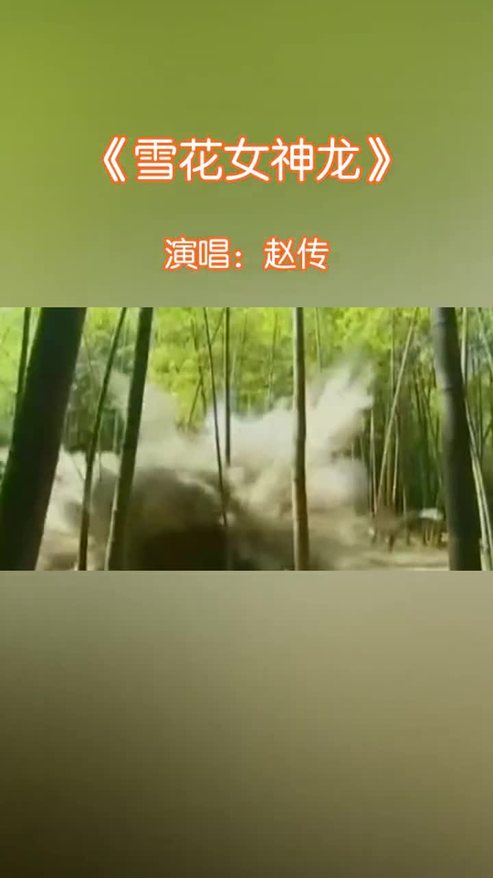 当年大火的影视歌曲《雪花女神龙》,唱得真好听,难怪成为经典