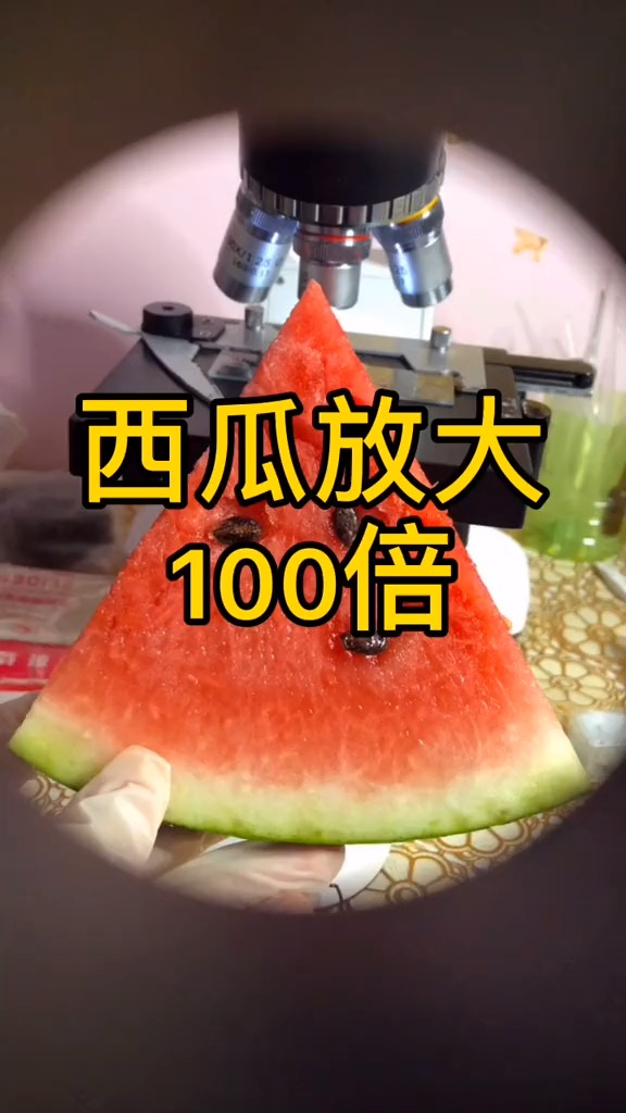 显微镜下的西瓜原来是这个样子