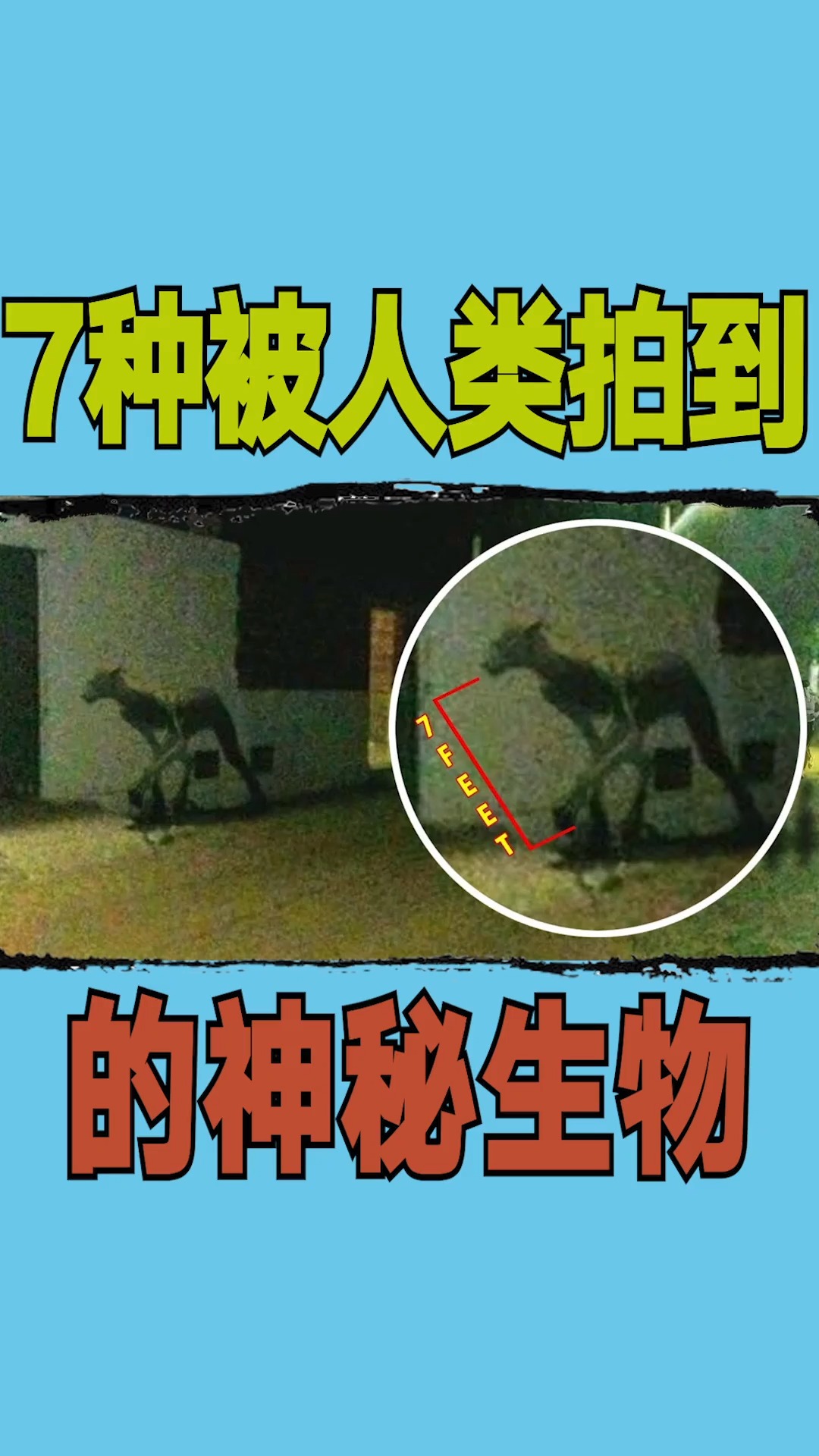 神秘生物7种被人类拍到的神秘生物