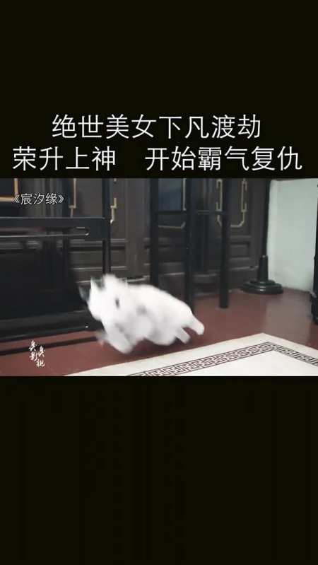 绝世美女凡间痛苦历劫成功,荣升上神,开始霸气复仇