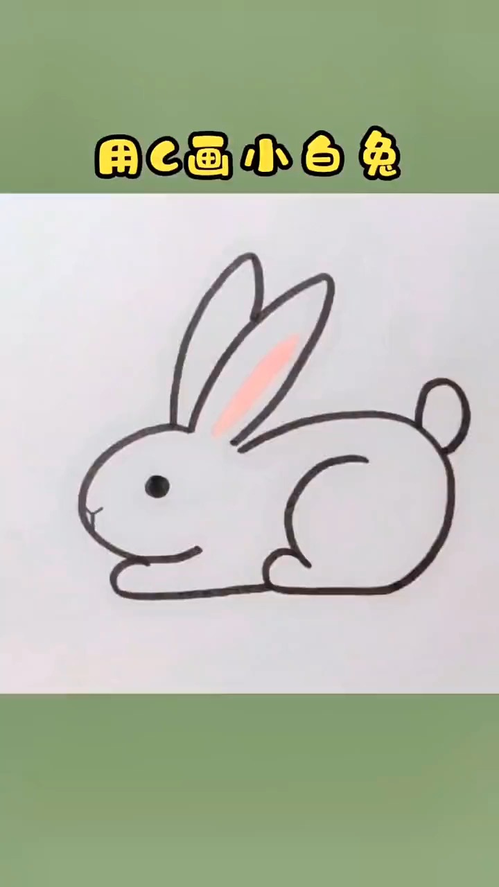 数一数画小白兔一共用了几个c