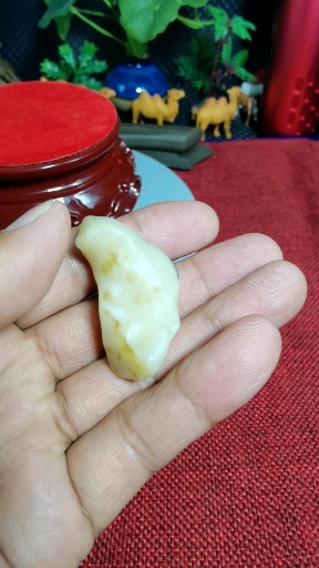 罗布泊地表蛋白原石