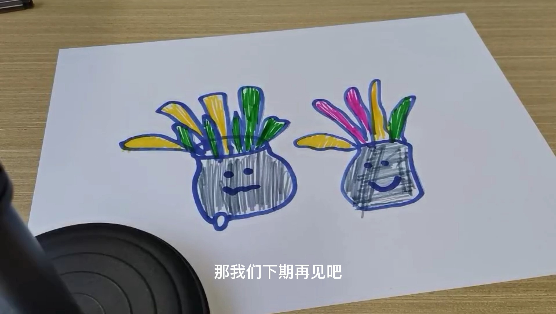 儿童简笔画海带学会画一个简单好吃的海带