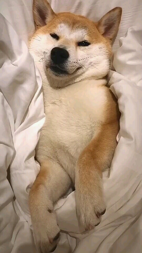 今天不应该和小男朋友出去嗨吗!单身狗只能在家睡觉了