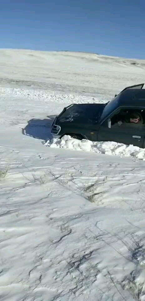 女司机雪地陷车图片