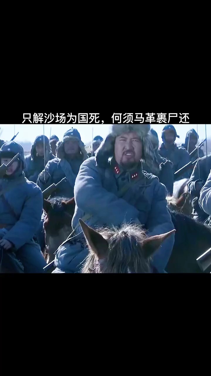 只解沙场为国死,何须马革裹尸还