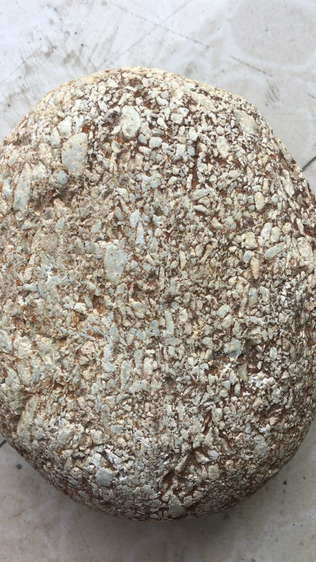 这颗斜长石角砾重4.9斤微弱磁性!或基本无磁!