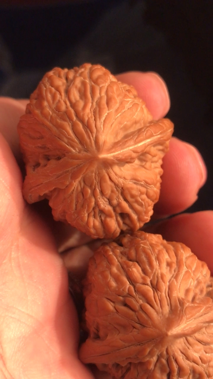 文玩核桃红宝石