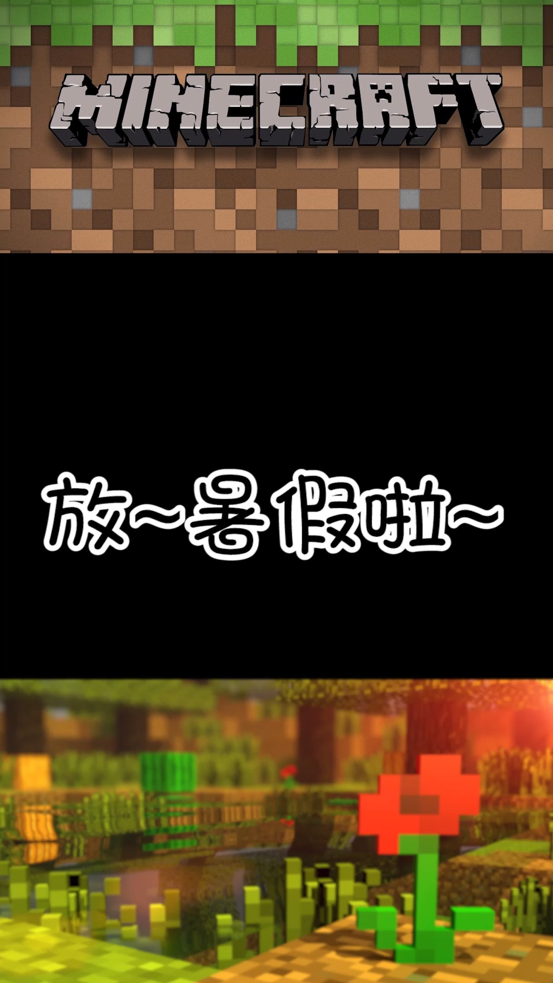 我的世界我的世界菜鸟的一天追逐小鸟