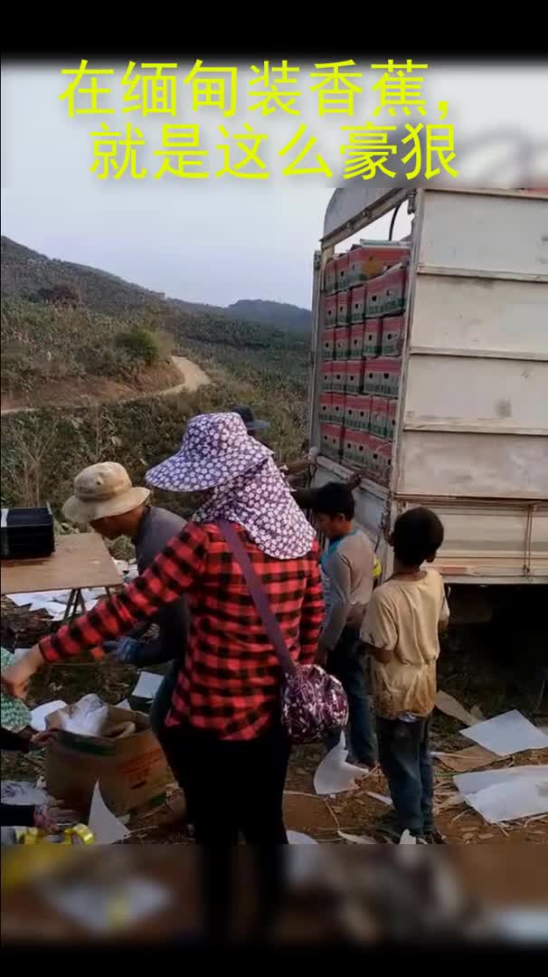 在缅甸装香蕉,就是这么豪狠