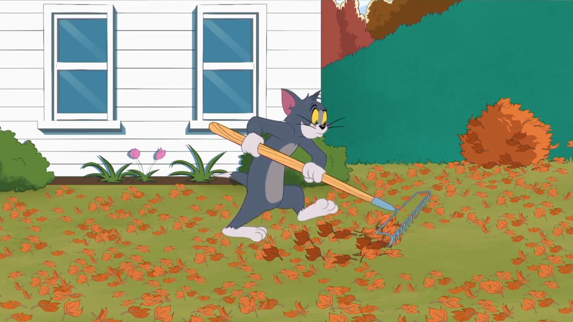 动漫#汤姆为找杰瑞弄满地树叶 被主任大骂 杰瑞却被鸟击倒