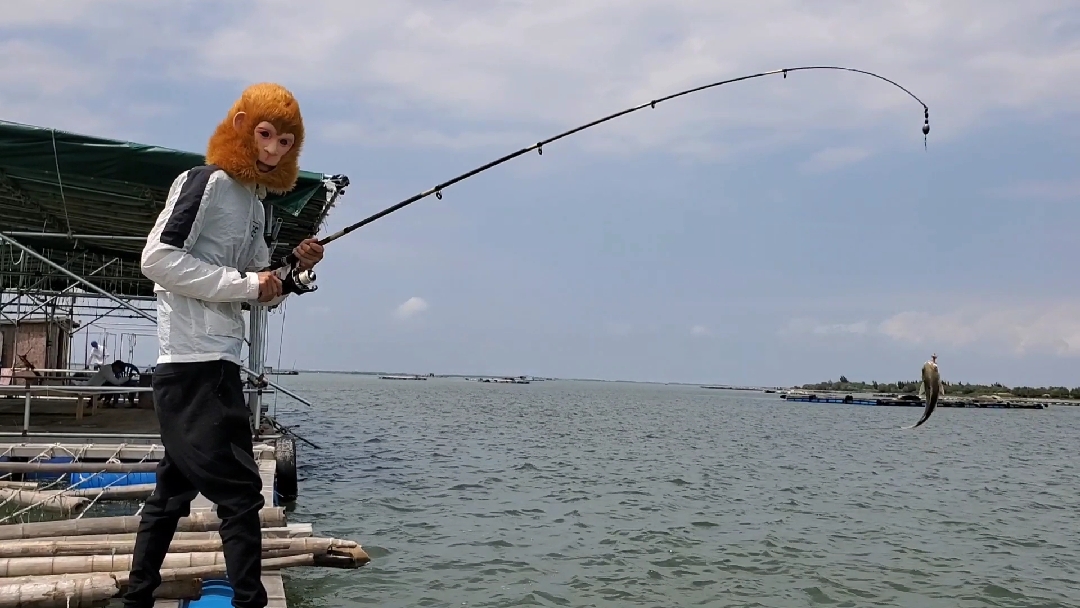 孫悟空釣魚