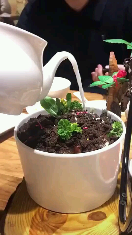 这道菜很特别368元名字也特别,(万物生长)