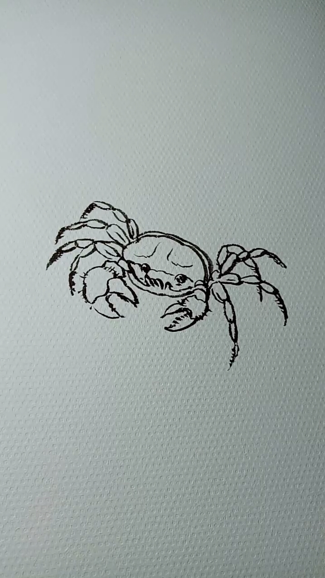 #一看就会的白描画#螃蟹白描画法