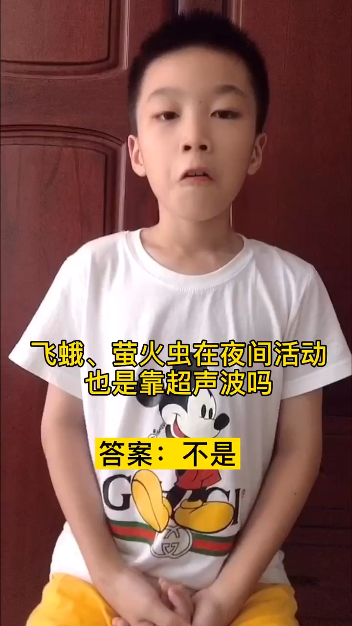 飞蛾,萤火虫在夜间活动也是靠超声波吗
