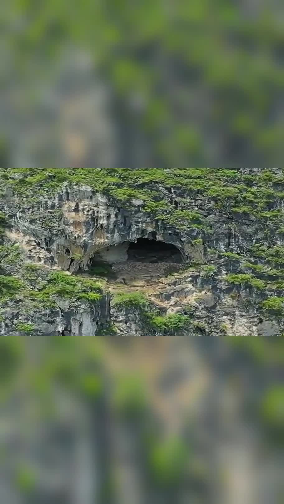 贵州大山悬崖上的一个山洞,只有鸟才飞得上去,洞口居然有围墙