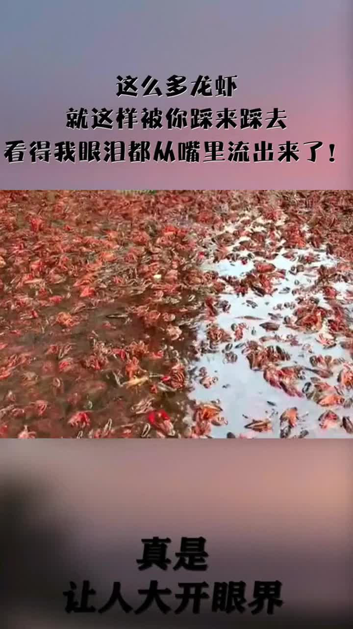 故意踩龙虾的女子图片