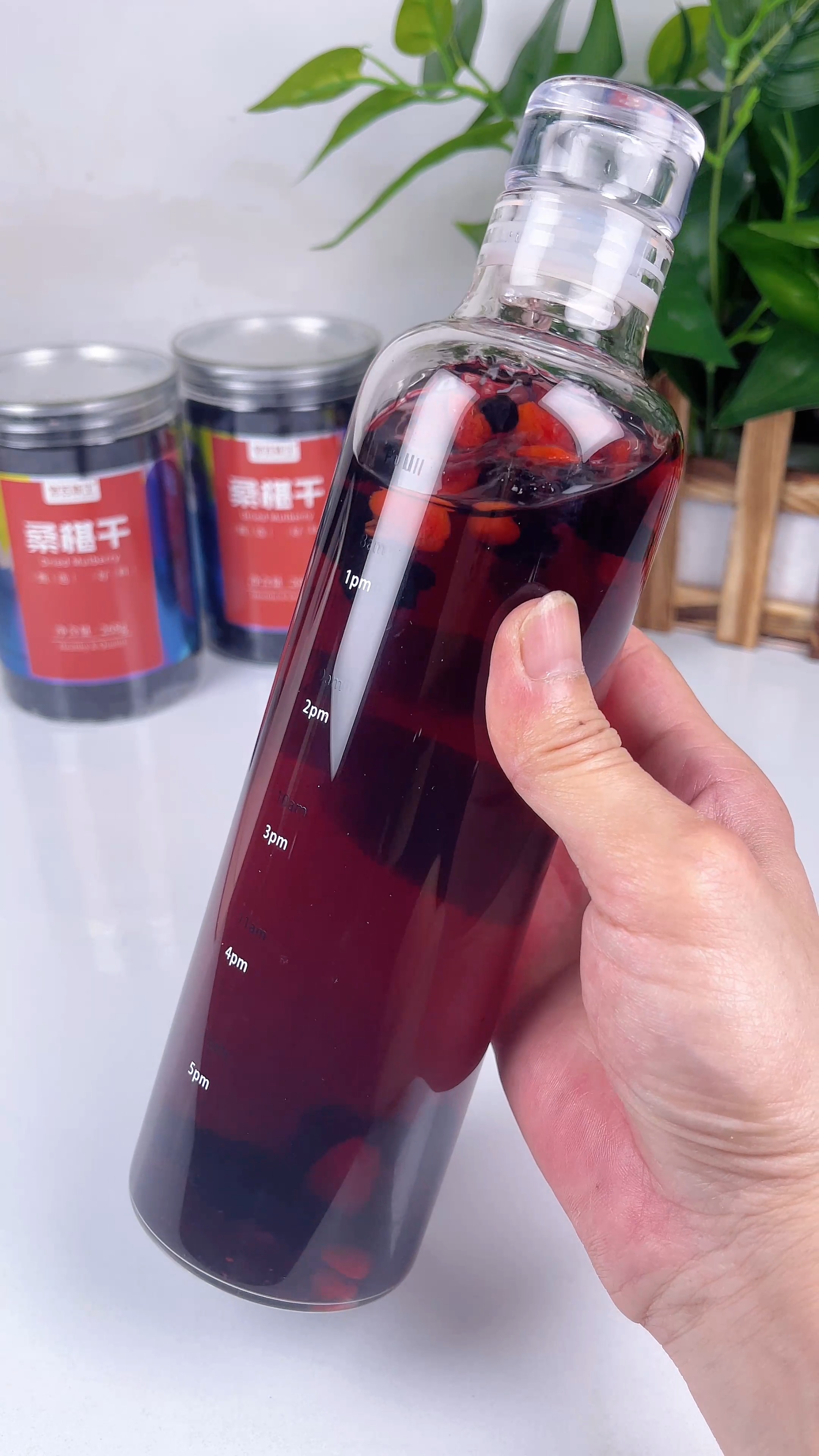 每天要多喝水桑葚干泡水好喝又健康桑葚干果茶花青素