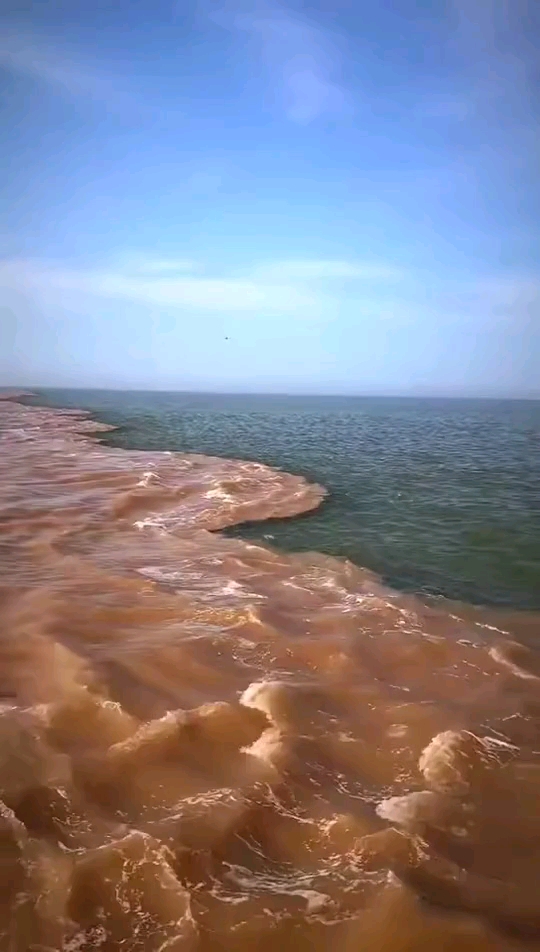 黄河与大海,无法相融,好壮观.