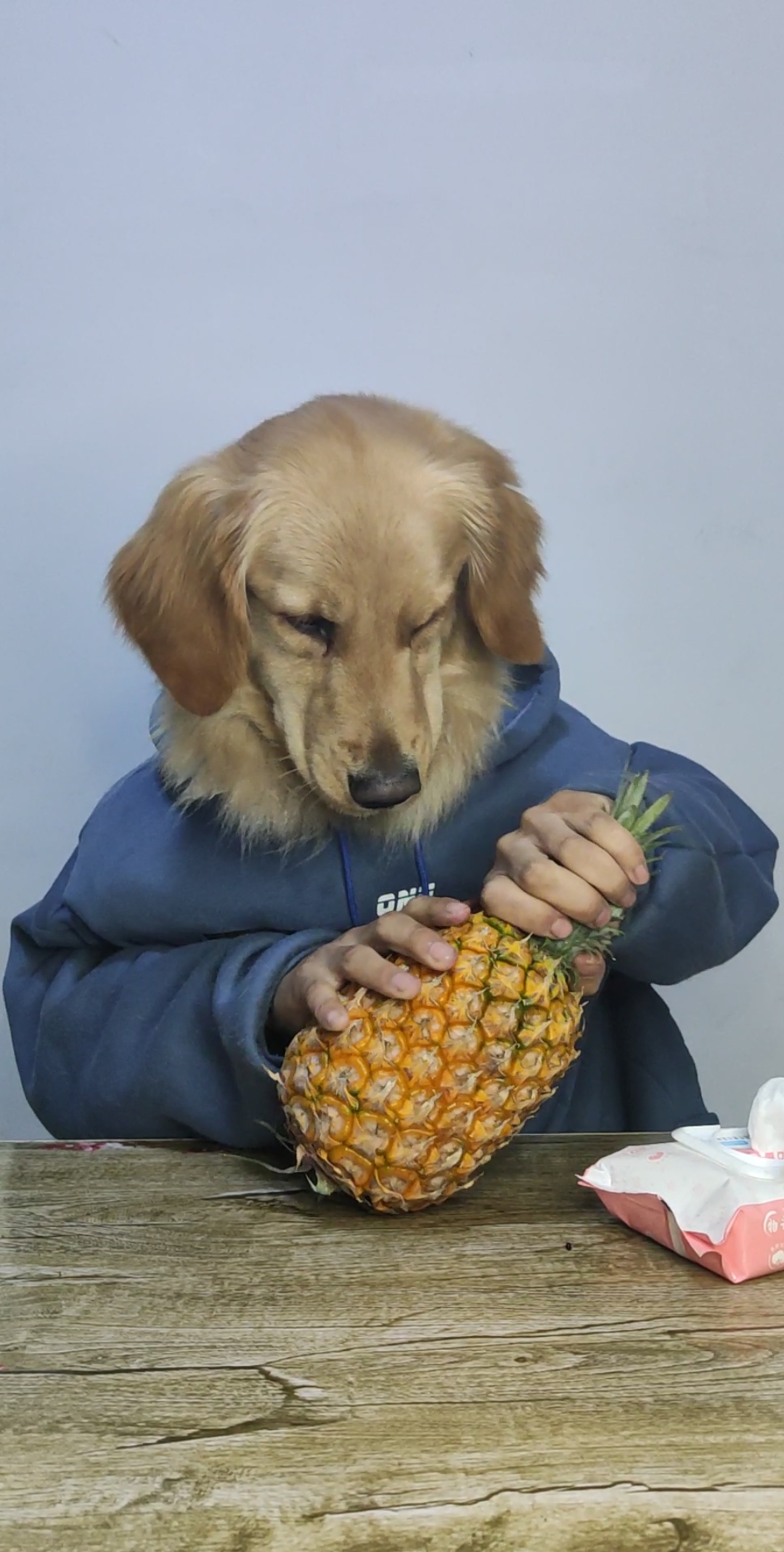 狗头人身的狗头先生来了!