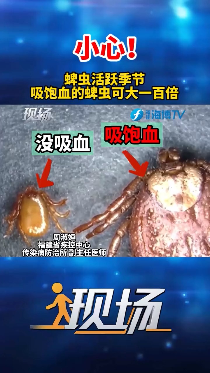 小心!春季是蜱虫活跃季节,吸饱血的蜱虫可大一百倍!