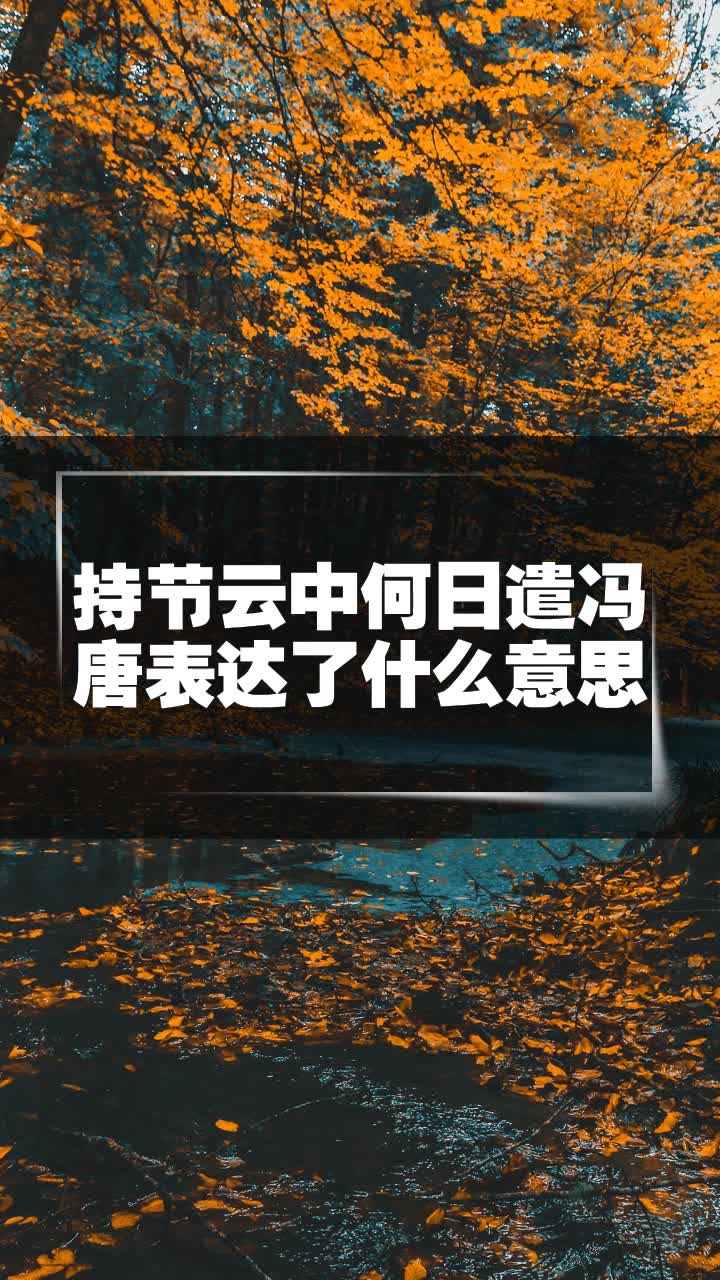 持节云中何日遣冯唐表达了什么意思