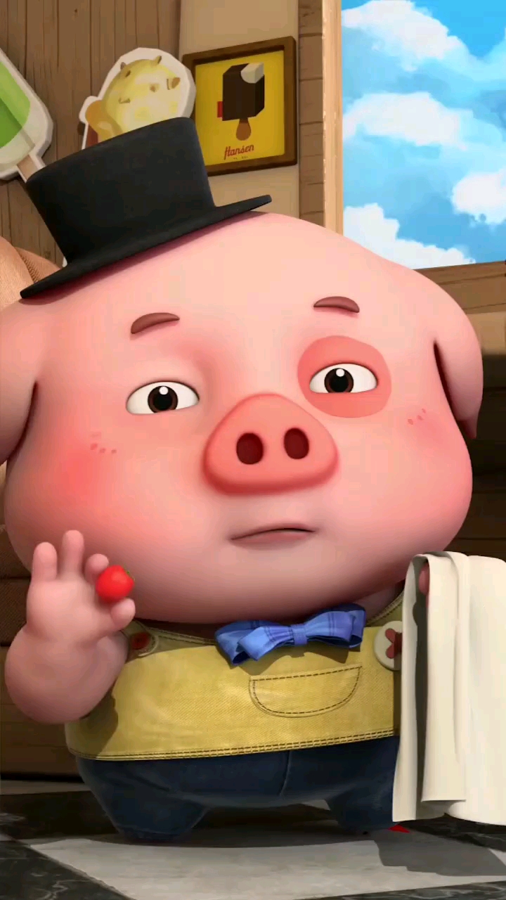 探探猫和豆豆猪 台上一分钟,台下十年功!