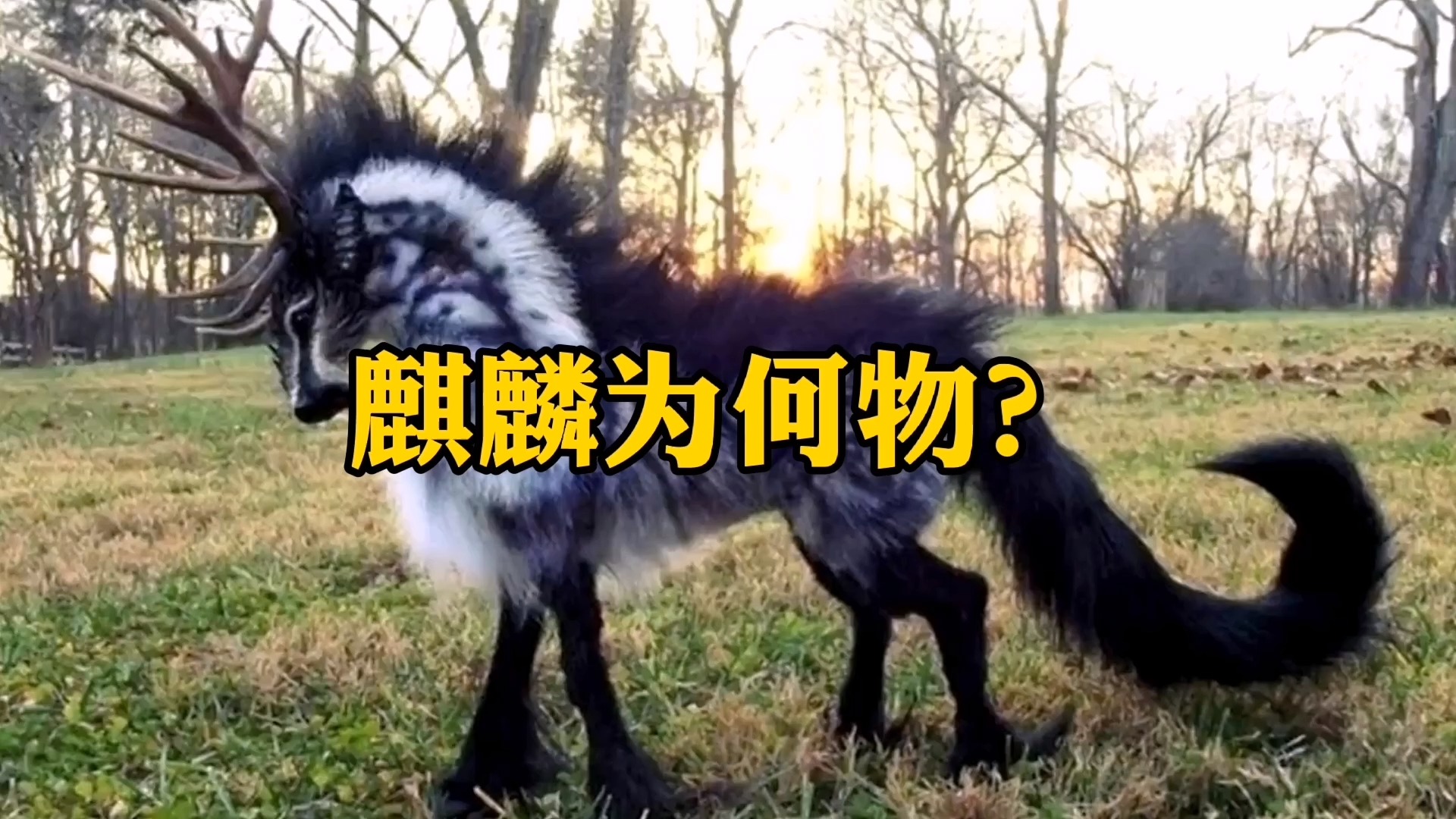 麒麟神兽是否真的存在过?《山海经》是这么记载的