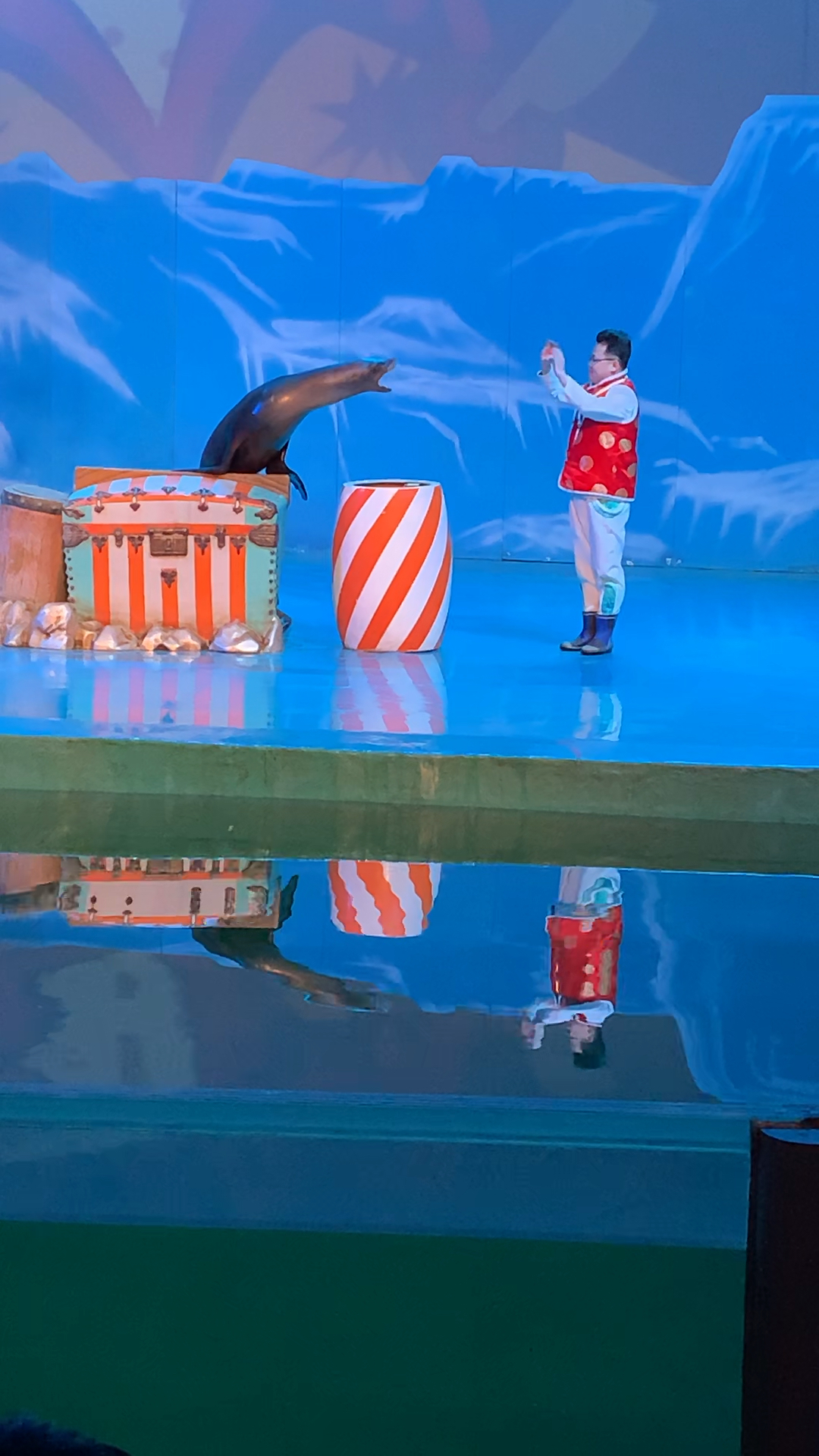 会唱歌的海豹 谁能听出来他唱的是什么