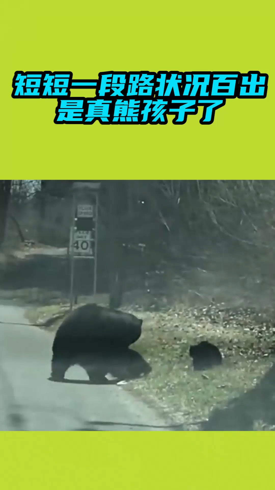 我要上热门#短短一段路却状况百出,是真"熊孩子"了