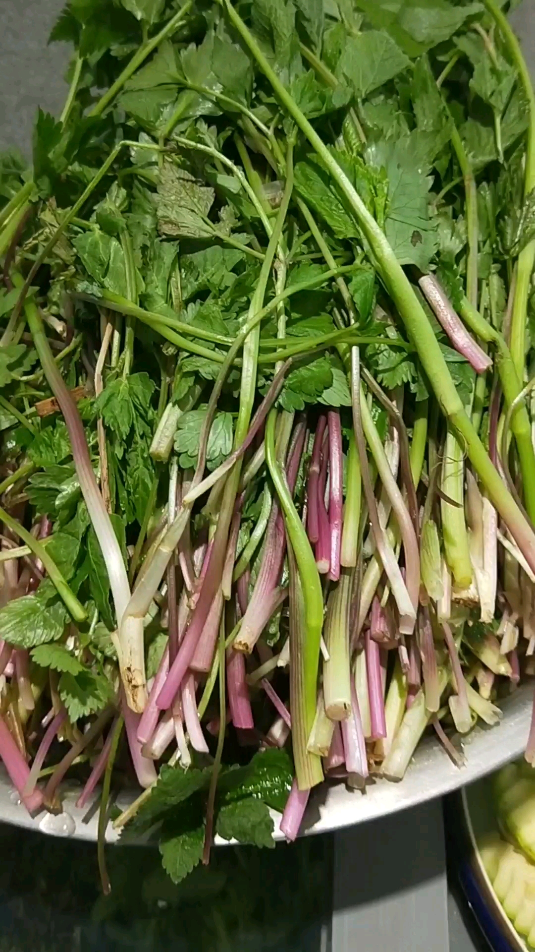 东北山菜.有没有要吃的?