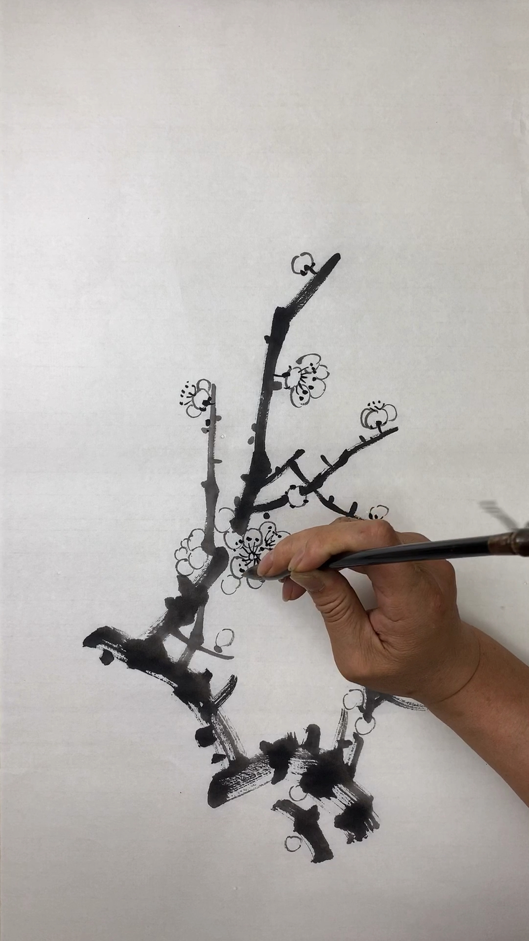 画画原来如此简单#国画白梅画法