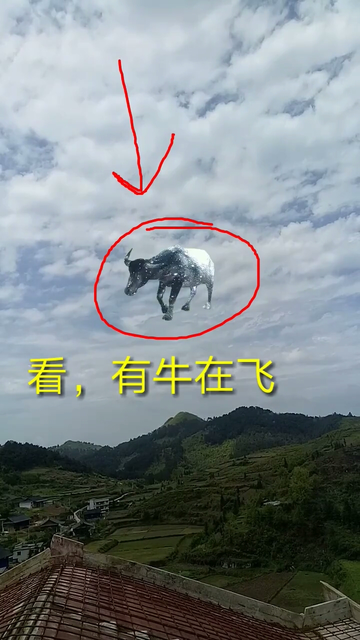 带上全民去旅行#天上飞的是什么?_?