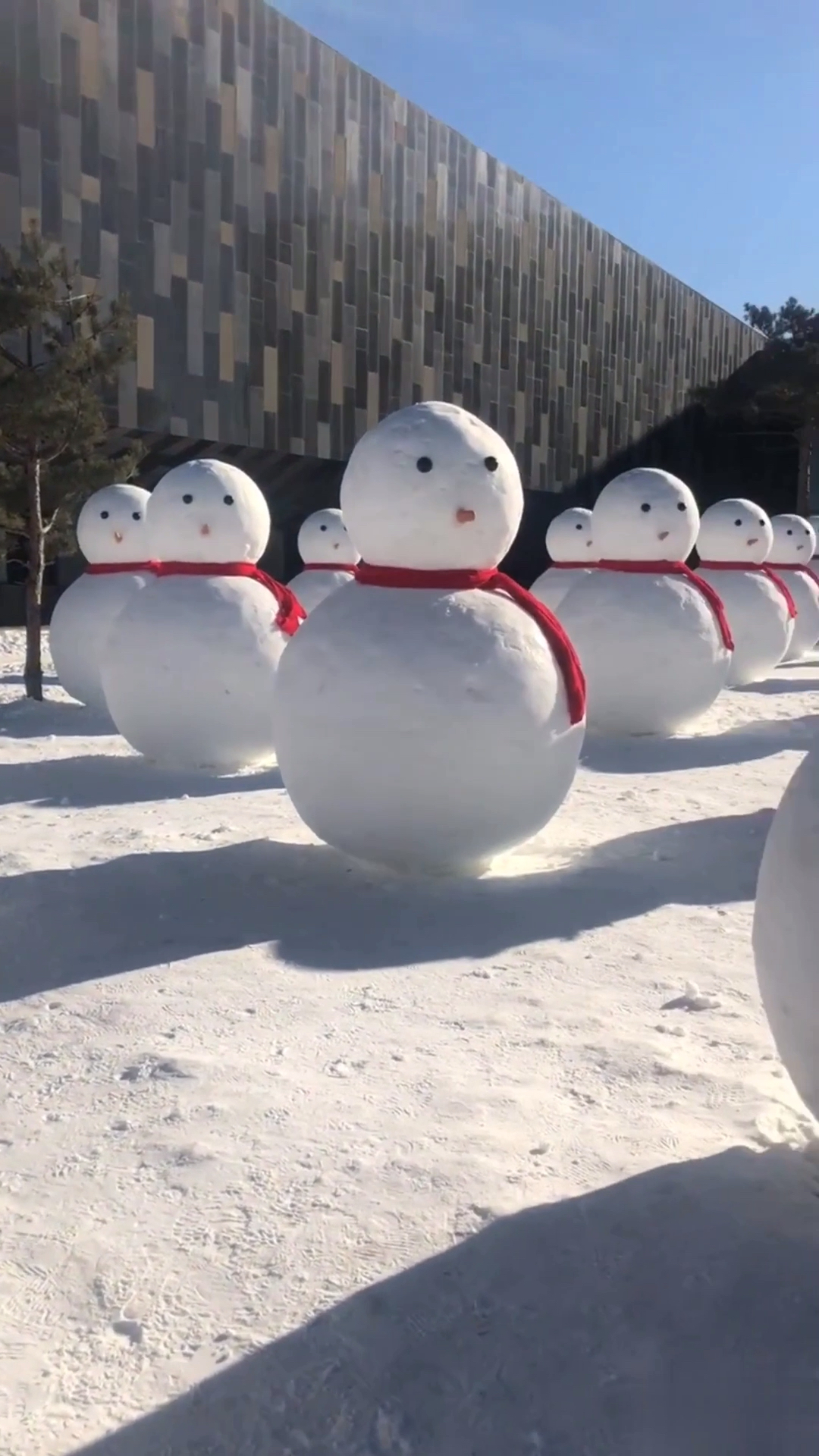 新年新气象#让你们看一下大东北的雪人,我们都是按群堆的,太可爱了吧