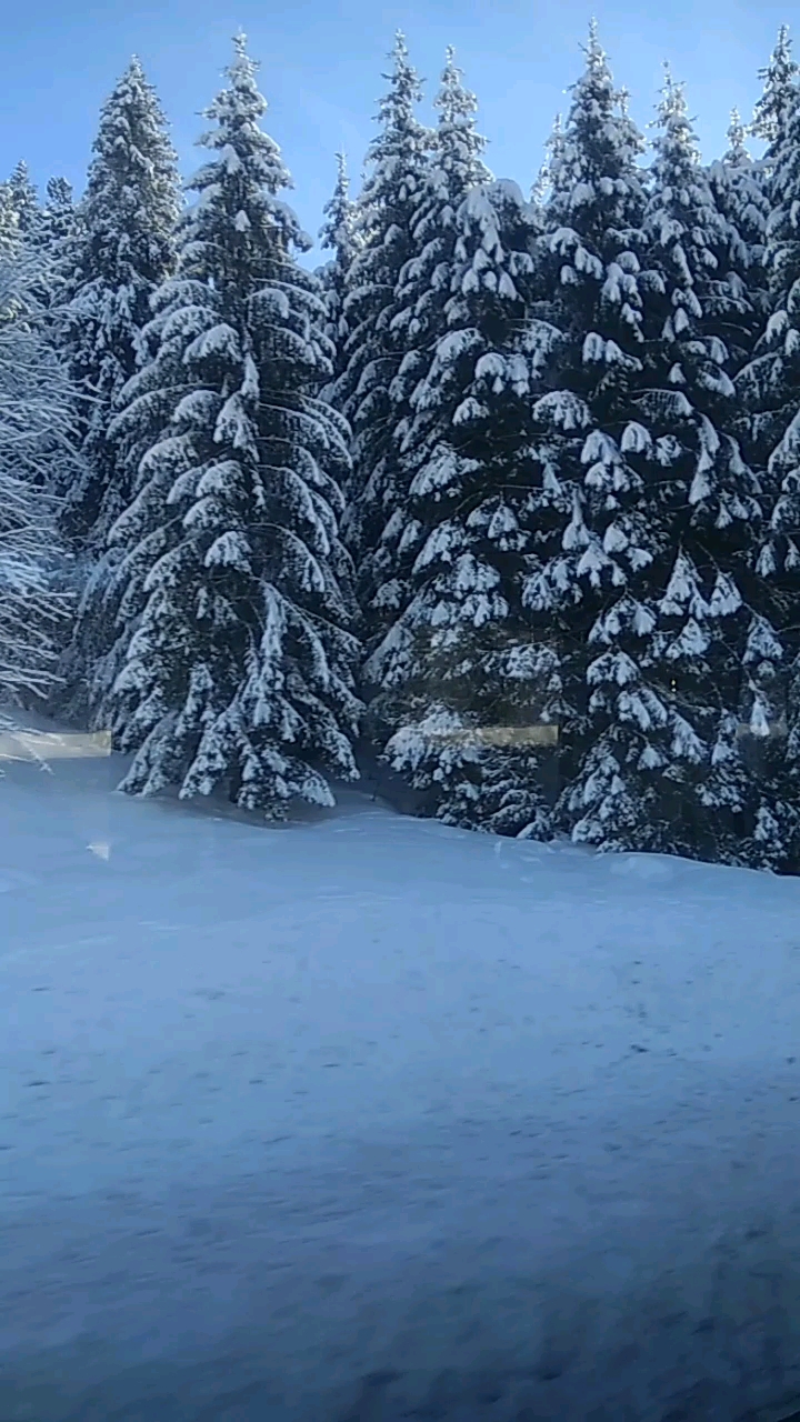 德国黑森林雪景风光