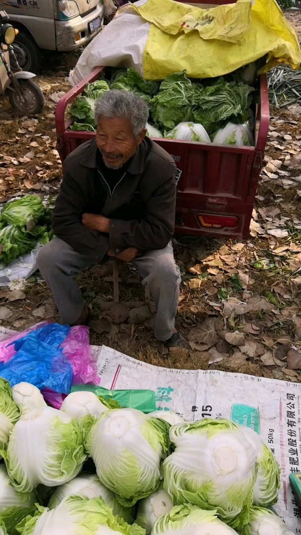 咱家的丰收季#一位农村赶集卖菜的老爷爷,满头白发起个大早卖自家种