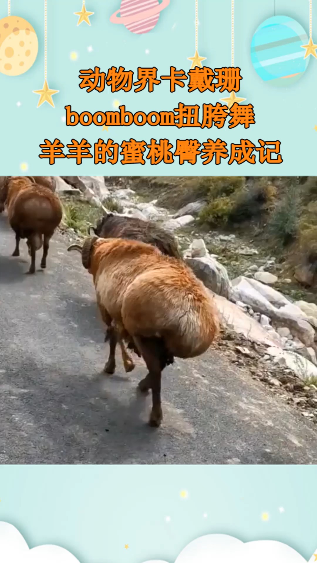 动物界卡戴珊boomboom扭胯舞羊羊的蜜桃臀养成记