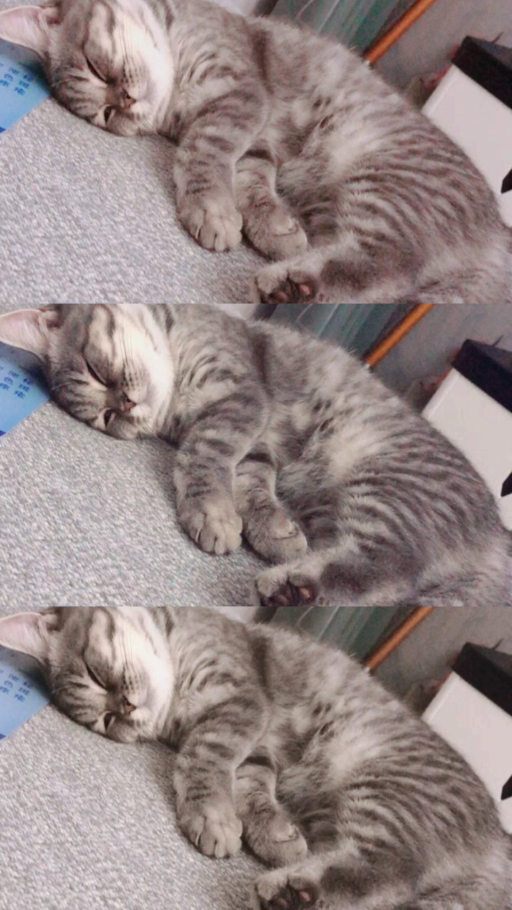 三屏#睁眼睛睡觉