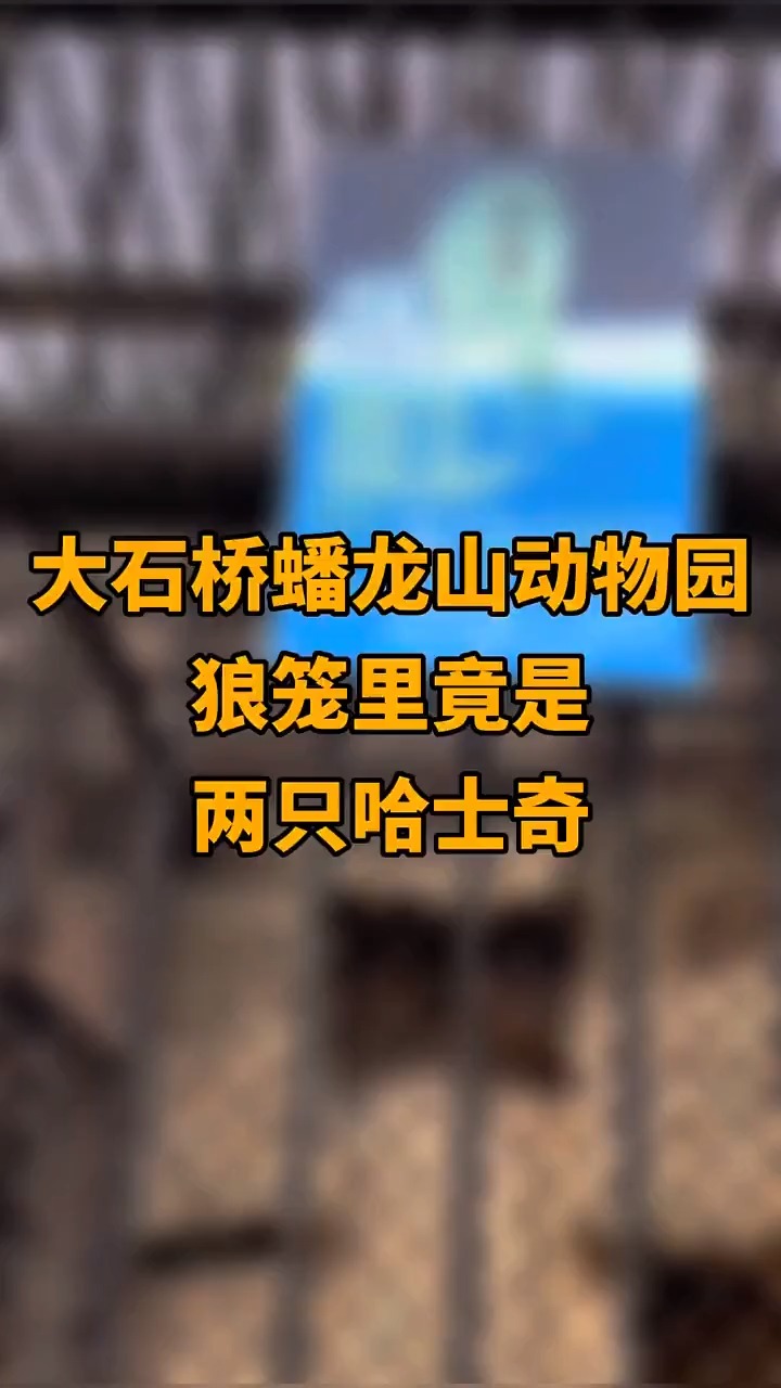 动物园#营口大石桥蟠龙山动物园 狼笼里竟是两只哈士奇
